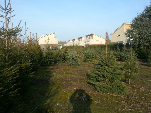 afbeelding "i_NL.IMRO.0353.201304HogeDijk-On01_0021.png"